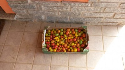 305.jpg (68.23 KiB) Osservato 755 volte 305.jpg