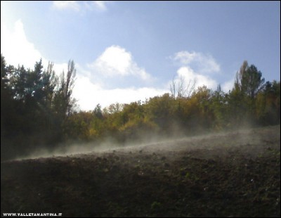 07112017maggese.jpg (120.1 KiB) Osservato 764 volte 07112017maggese.jpg