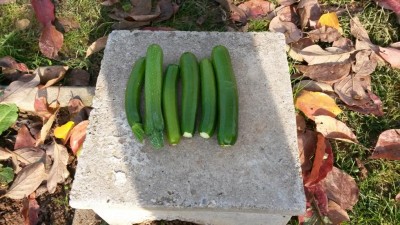 20171111_132041.jpg (134.92 KiB) Osservato 928 volte 20171111_132041.jpg