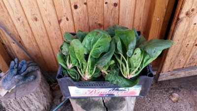 20171111_135720.jpg (108.79 KiB) Osservato 928 volte 20171111_135720.jpg