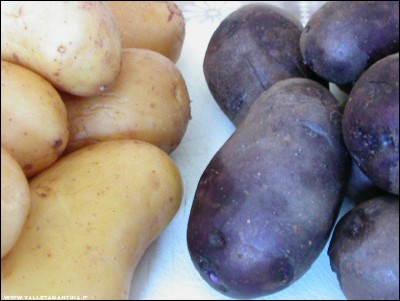 patate-viola.jpg (243.8 KiB) Osservato 675 volte patate-viola.jpg