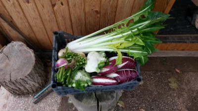 314.jpg (91.34 KiB) Osservato 775 volte 314.jpg