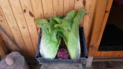 316.jpg (80.01 KiB) Osservato 775 volte 316.jpg