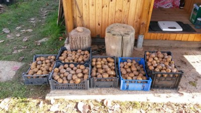 317.jpg (122.08 KiB) Osservato 775 volte 317.jpg