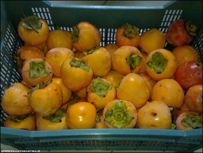 13112017kaki.jpg (252.26 KiB) Osservato 593 volte 13112017kaki.jpg