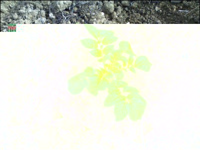 18112017patata.jpg (337.44 KiB) Osservato 869 volte 18112017patata.jpg