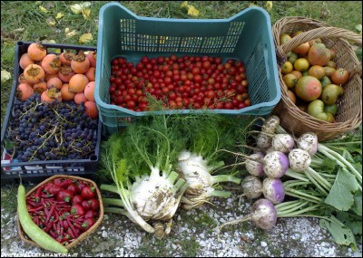 18112017raccolto.jpg (307.48 KiB) Osservato 865 volte 18112017raccolto.jpg