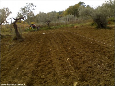 21112017semina-fave.jpg (223.89 KiB) Osservato 708 volte 21112017semina-fave.jpg