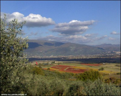 23112017vigneti.jpg (181.41 KiB) Osservato 708 volte 23112017vigneti.jpg