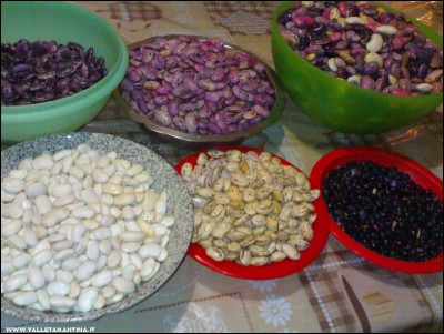 01122017fagioli-Spagna.jpg (258.91 KiB) Osservato 958 volte 01122017fagioli-Spagna.jpg