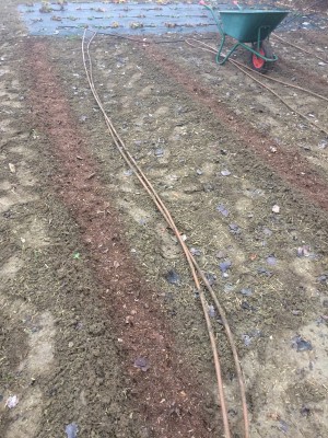 16.01.18 023.JPG (335.13 KiB) Osservato 917 volte 16.01.18 023.JPG