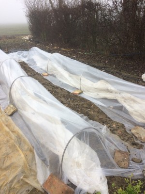 16.01.18 026.JPG (214.91 KiB) Osservato 917 volte 16.01.18 026.JPG