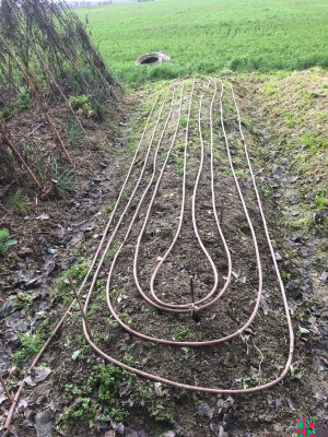 19.03.18 006.JPG (392.4 KiB) Osservato 845 volte 19.03.18 006.JPG