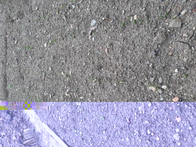 Gli spinaci stanno spuntando ora / 20180329_150443.jpg 20180329_150443.jpg