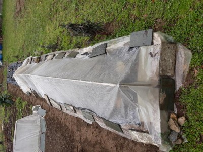 In questo tunnel dopo aver vangato e steso il telo nero ho seminato qualche zucchina / 20180329_150557.jpg 20180329_150557.jpg