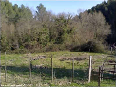 26032018orto-agrit.jpg (225.3 KiB) Osservato 813 volte 26032018orto-agrit.jpg