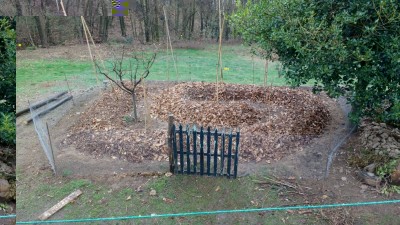 Sinergico / IMG_20180408_180226427.jpg IMG_20180408_180226427.jpg