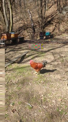 Api / IMG_20180402_105431433.jpg IMG_20180402_105431433.jpg