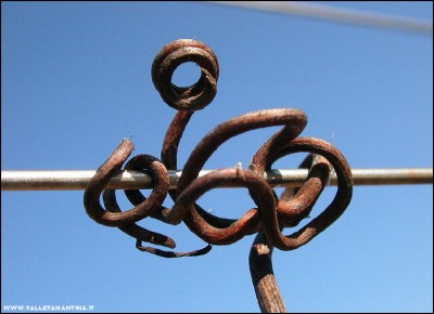 2011-abbracci-vite-4.jpg (141.98 KiB) Osservato 700 volte 2011-abbracci-vite-4.jpg