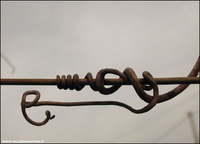 2011-abbracci-vite-5.jpg (91.79 KiB) Osservato 699 volte 2011-abbracci-vite-5.jpg
