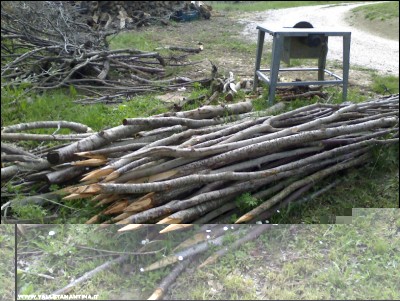 24042018pali-orto.jpg (265.57 KiB) Osservato 617 volte 24042018pali-orto.jpg