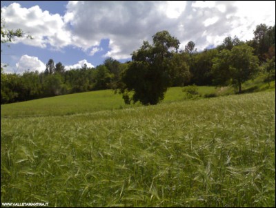 19052018orzo-ceci.jpg (121.45 KiB) Osservato 611 volte 19052018orzo-ceci.jpg