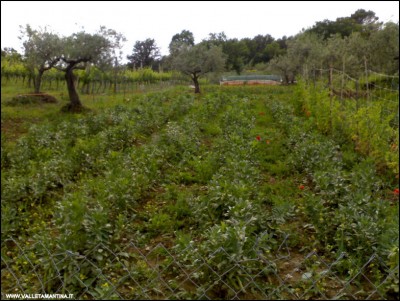22052018panoramica-2.jpg (148.7 KiB) Osservato 610 volte 22052018panoramica-2.jpg