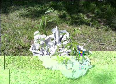 13052018peschi.jpg (164.25 KiB) Osservato 512 volte 13052018peschi.jpg
