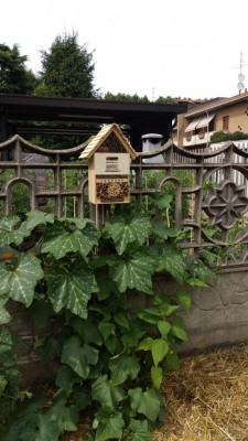Bug hotel / bug.jpeg bug.jpeg