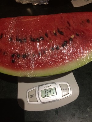 25.07.18 014.JPG (201.22 KiB) Osservato 663 volte 25.07.18 014.JPG