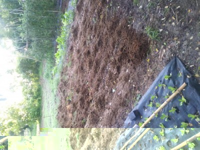 20180825_082431.jpg (166.34 KiB) Osservato 494 volte 20180825_082431.jpg