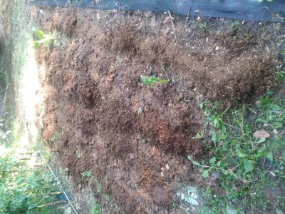 20180825_082424.jpg (203.28 KiB) Osservato 494 volte 20180825_082424.jpg