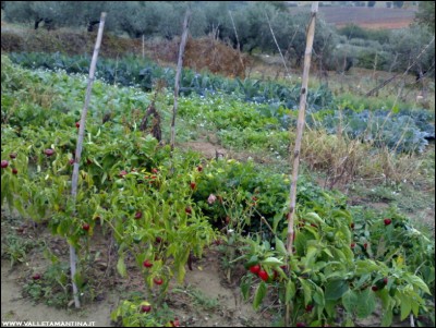 02112018orto-panoramica.jpg (230.28 KiB) Osservato 675 volte 02112018orto-panoramica.jpg