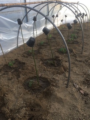 18.02.19 032.JPG (275.81 KiB) Osservato 779 volte 18.02.19 032.JPG