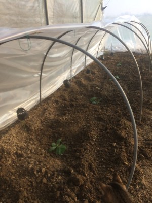 18.02.19 028.JPG (204.61 KiB) Osservato 726 volte 18.02.19 028.JPG