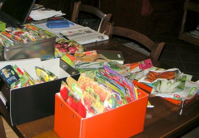 3semi.JPG (106.76 KiB) Osservato 3058 volte 3semi.JPG