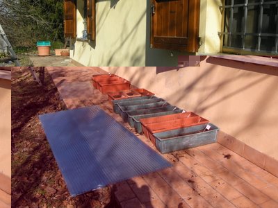 semina1.JPG (108.23 KiB) Osservato 3055 volte semina1.JPG