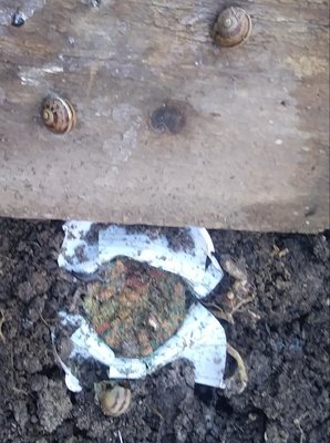 lu.jpg (107.88 KiB) Osservato 1395 volte lu.jpg