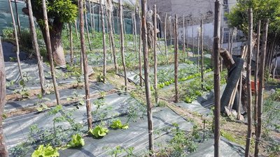 Panoramica 1 / PANORAMICA 1.jpg PANORAMICA 1.jpg