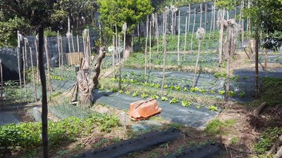 PANORAMICA 2.jpg (179.99 KiB) Osservato 1139 volte PANORAMICA 2.jpg