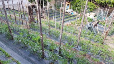 PANORAMICA ALTA 2.jpg (172.45 KiB) Osservato 1139 volte PANORAMICA ALTA 2.jpg