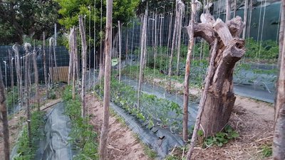 file appese.jpg (141.24 KiB) Osservato 509 volte file appese.jpg