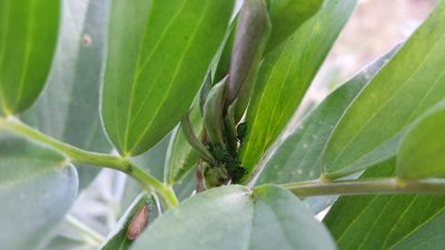 Dettaglio / 20190513_174438.jpg 20190513_174438.jpg