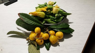 20190513_185524.jpg (58.15 KiB) Osservato 673 volte 20190513_185524.jpg