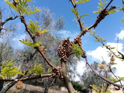 IMG_20190601_103928.jpg (136.68 KiB) Osservato 798 volte IMG_20190601_103928.jpg