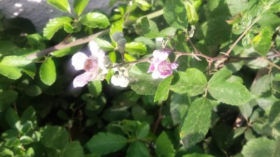 more / 20190613_185244.jpg 20190613_185244.jpg