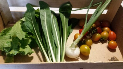 20190620_181337.jpg (64.7 KiB) Osservato 483 volte 20190620_181337.jpg