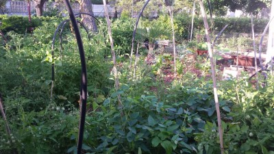 Caos 3 / 20190625_064839.jpg 20190625_064839.jpg