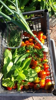 20190625_180600.JPG 20190625_180600.JPG