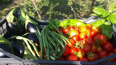 20190715_173709.jpg (102.84 KiB) Osservato 650 volte 20190715_173709.jpg